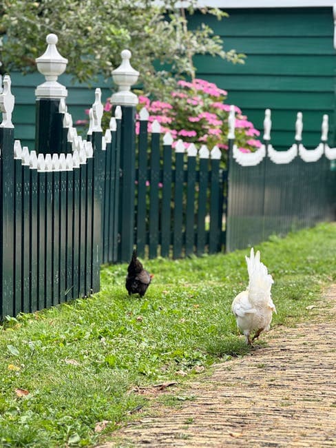 Spring Chicken Care: 10-Step Checklist to Get Your Flock Ready