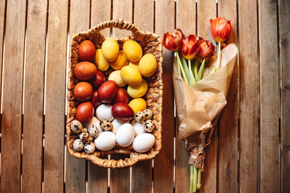 Raising Chickens for Eggs: From Hatching to Your First Egg