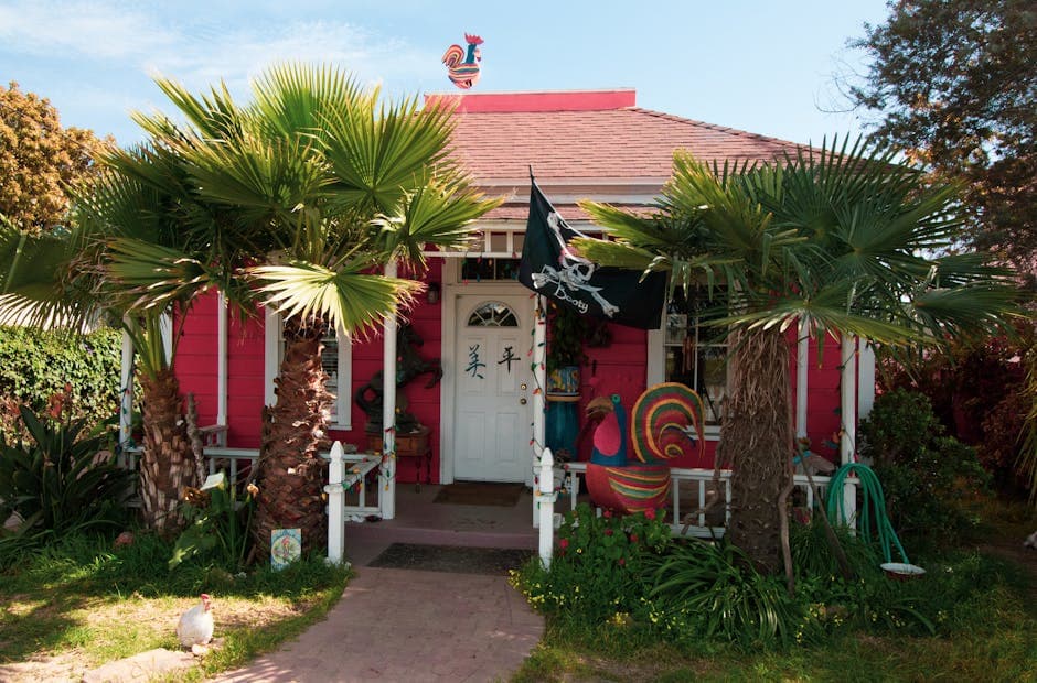 Raising Chickens in Florida: Laws, Best Breeds, and Climate Tips